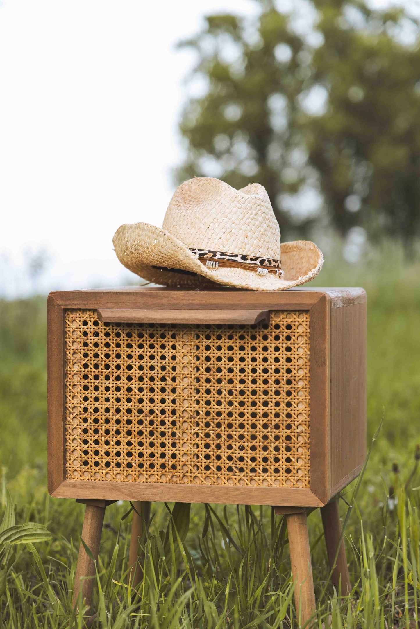 Cowgirl summer hat Beige